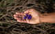 Cape Byron Aboriginal Tour - thumb 0
