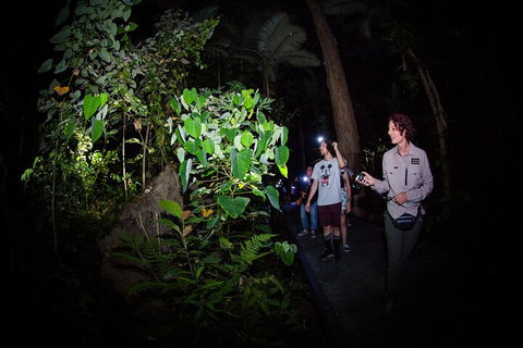 Let's Go Buggin & Let's Go Shroomin - Photography & Nature Walking Tours - Food Delivery Shop 4