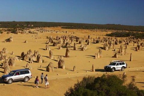 1-Day Pinnacles And Yanchep Tour From Perth Including Fish And Chips Lunch - Food Delivery Shop 0