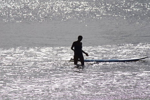 Private Surf Coaching Session In New South Wales - Pet Food Australia 2