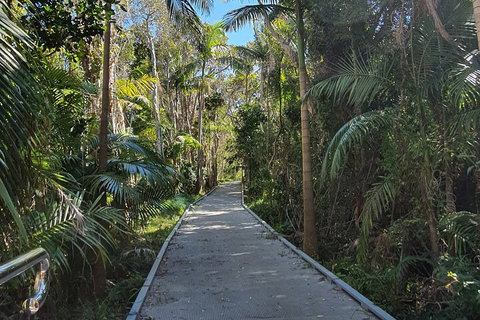 Half Day Guided Small Group Walk - Food Delivery Shop 3