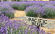 Kangaroo Island Half Day Food And Wine Trail Tour - thumb 5
