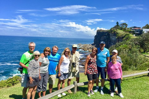 Shore Excursion: Sydney's Northern Beaches & Ku-ring-gai National Park Bus Tour - Food Delivery Shop 0