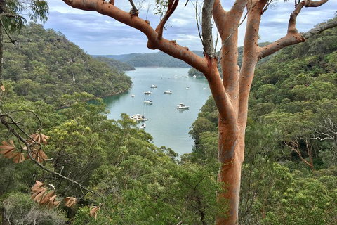 Shore Excursion: Sydney's Northern Beaches & Ku-ring-gai National Park Bus Tour - Food Delivery Shop 1
