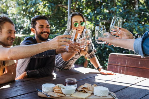 Full-day Wine-Tasting And Tamborine Mountain Tour With Lunch - Food Delivery Shop 0