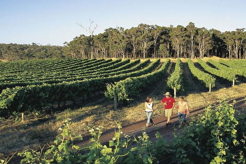 2-Day Margaret River Wine Experience From Perth - Food Delivery Shop 3