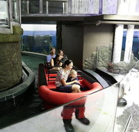 Sydney Attractions Pass SEA LIFE Aquarium Sydney Tower Eye WILD LIFE Zoo and Madame Tussauds - Food Delivery Shop