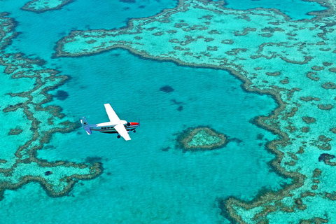 Reef And Island Scenic Flight From Airlie Beach - Food Delivery Shop 4