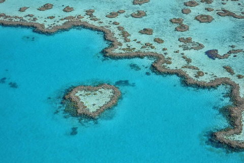Reef And Island Scenic Flight From Airlie Beach - Food Delivery Shop 5