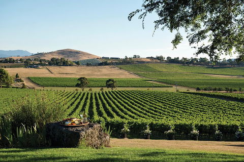 Small Group 6 Guests: Ultimate Yarra Valley Food And Wine - Mercedes Van - Pet Food Australia 4