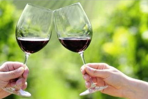 Yarra Valley Premium Tour Inc Lunch And Cheese And Wine Pairing At De Bortoli - Food Delivery Shop 5