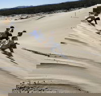 Port Stephens Bush Beach and Sand Dune 4WD Tag-Along Tour - Pet Food Australia