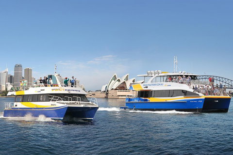 Go City | Sydney Explorer Pass With 20+ Attractions And Tours - Food Delivery Shop 5