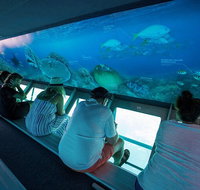 Great Barrier Reef Day Cruise to Reefworld - Food Delivery Shop