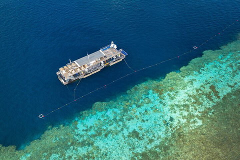 Great Barrier Reef Day Cruise To Reefworld - Food Delivery Shop 2