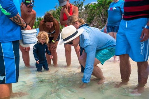 Whitehaven Beach And Hamilton Island Cruise - Food Delivery Shop 1