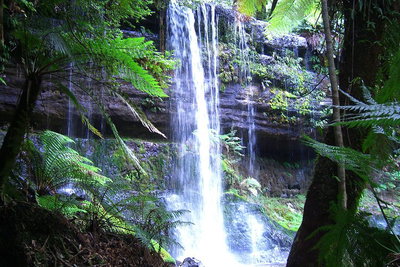 Mt Field National Park and Russell Falls from Hobart