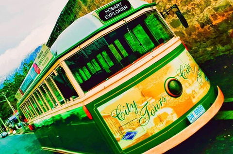 Hobart Half-Day Sightseeing Coach Tram Tour - Food Delivery Shop 5
