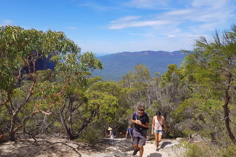 Blue Mountains Unique Small-Group Day Adventure With BBQ Lunch - Food Delivery Shop 3