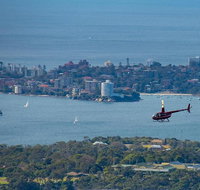 30-Minute Sydney Harbour and Olympic Park Helicopter Tour - Food Delivery Shop