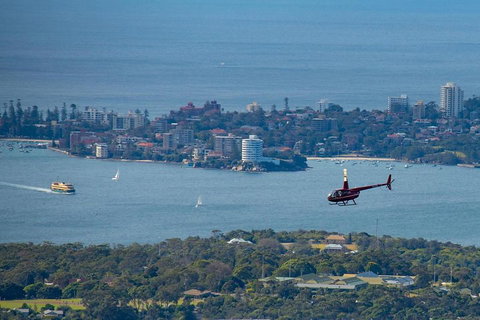 30-Minute Sydney Harbour And Olympic Park Helicopter Tour - Food Delivery Shop 0