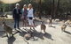 Private Scenic Day Trip From Sydney For Families And Friends - thumb 1