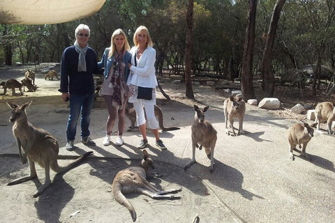 Private Scenic Day Trip From Sydney For Families And Friends - Food Delivery Shop 1