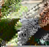 Small-Group Adelaide Central Market Early Breakfast Tour - Food Delivery Shop