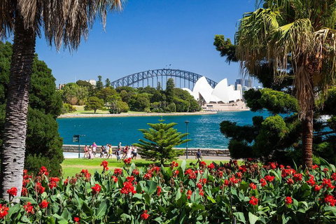 Sydney Luxury Private Shore Excursion | 6 Hr Tour | Departs From Cruise Terminal - Food Delivery Shop 5