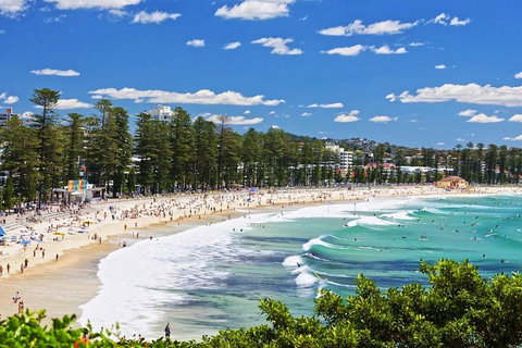 Sydney's Northern Beaches Private Tour With River Cruise To Secluded Beaches - Food Delivery Shop 0