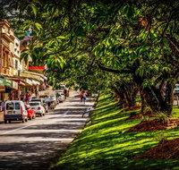 Fully Inclusive Blue Mountains Private Tour inc Scenic World  Featherdale entry - Food Delivery Shop