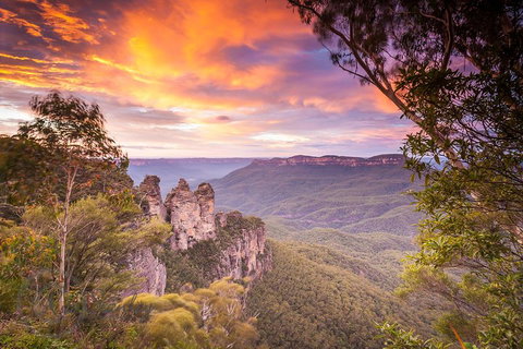 Fully Inclusive Blue Mountains Private Tour Inc Scenic World & Featherdale Entry - Food Delivery Shop 5
