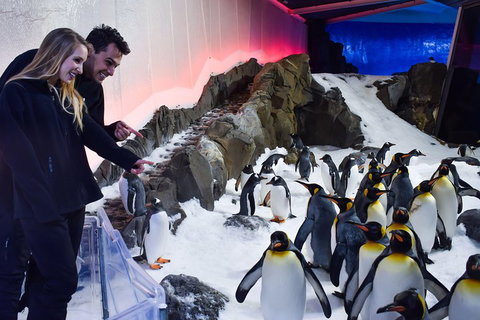Penguin Passport At SEA LIFE Melbourne Aquarium - Food Delivery Shop 0
