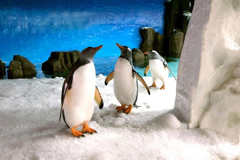 Penguin Passport At SEA LIFE Melbourne Aquarium - Food Delivery Shop 1