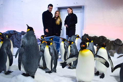 Penguin Passport At SEA LIFE Melbourne Aquarium - Food Delivery Shop 4