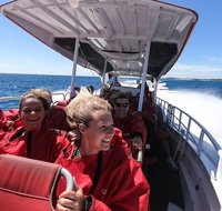 Adventure Rottnest Tour with Ferry  Adventure Cruise from Perth or Fremantle - Food Delivery Shop