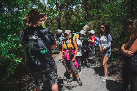 Wilsons Promontory Day Trip From Melbourne - Food Delivery Shop 2