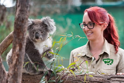 Small-Group Phillip Island Penguin Parade Day Tour from Melbourne