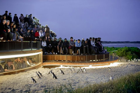 Small-Group Phillip Island Penguin Parade Day Tour From Melbourne - Food Delivery Shop 3