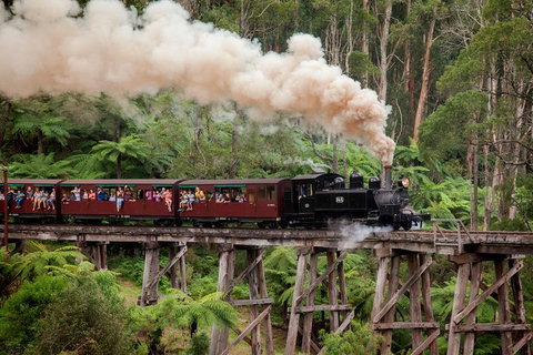 Melbourne Combo: Great Ocean Road, Puffing Billy, Moonlit Sanctuary & Penguins - Food Delivery Shop 1