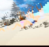 Beach  Dune - Pet Food Australia