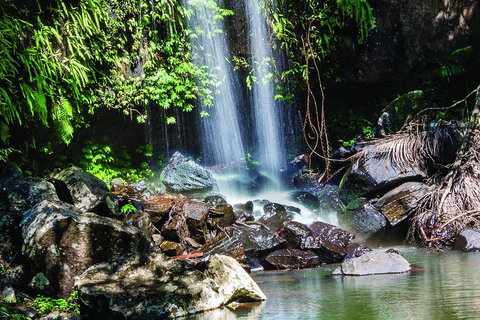 Full Day Small Group Luxury Tour To Tamborine Mountain - Food Delivery Shop 0