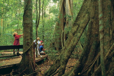 Full Day Small Group Luxury Tour To Tamborine Mountain - Food Delivery Shop 1