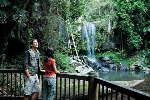 Full Day Small Group Luxury Tour To Tamborine Mountain - Food Delivery Shop 4