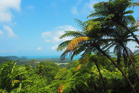 Cape Tribulation, Daintree Rainforest And Wildlife Tour - Food Delivery Shop 3