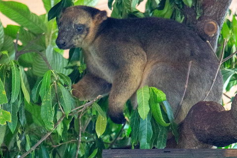 Virtual Interactive Australian Wildlife Tour With Private Guide-Wildlife Habitat - Food Delivery Shop 4
