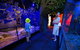 Wildlife Habitat Port Douglas - thumb 4