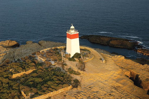 Hobart Sightseeing Cruise Including Iron Pot Lighthouse - Food Delivery Shop 1