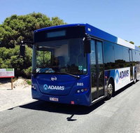 Rottnest Bayseeker Bus Tour from Hillarys Boat Harbour - Food Delivery Shop