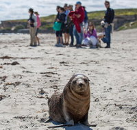 Kangaroo Island in a Day Tour from Adelaide - Food Delivery Shop